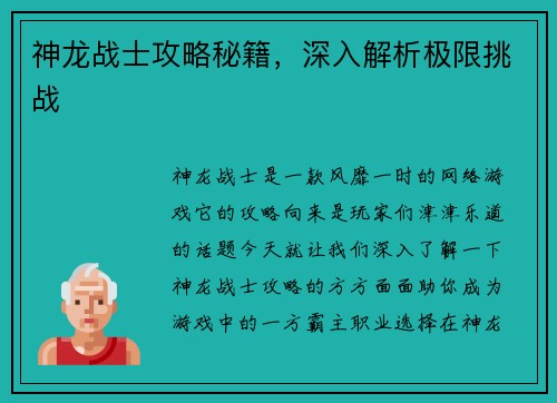 神龙战士攻略秘籍，深入解析极限挑战